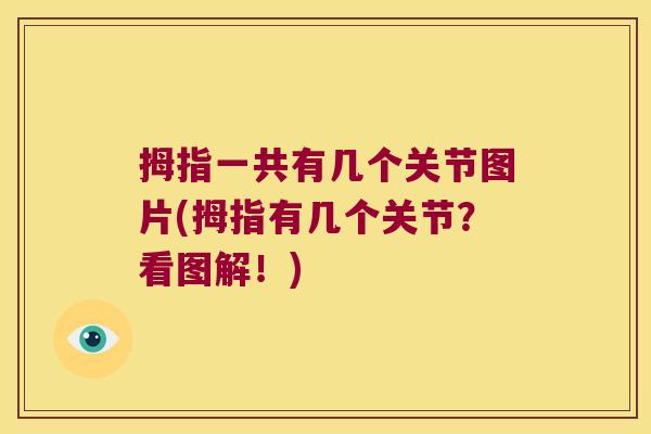 拇指一共有几个关节图片(拇指有几个关节?看图解!) 拇指一共有几个关节图片(拇指有几个关节?看图解!)