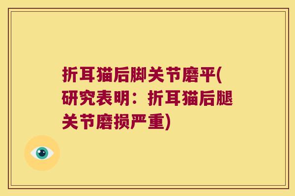 折耳猫后脚关节磨平(研究表明:折耳猫后腿关节磨损严重) 折耳猫后脚关节磨平(研究表明:折耳猫后腿关节磨损严重)