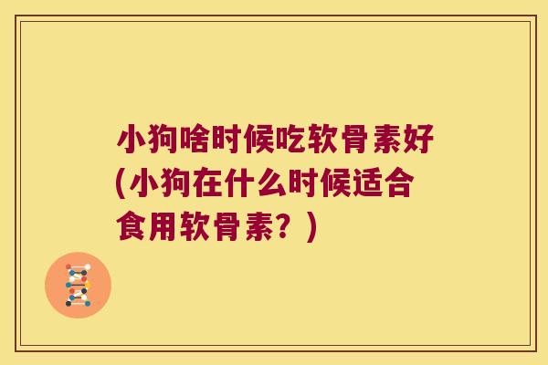 小狗啥时候吃软骨素好(小狗在什么时候适合食用软骨素?) 小狗啥时候吃软骨素好(小狗在什么时候适合食用软骨素?)