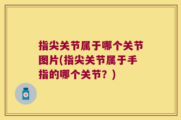 指尖关节属于哪个关节图片(指尖关节属于手指的哪个关节?) 指尖关节属于哪个关节图片(指尖关节属于手指的哪个关节?)