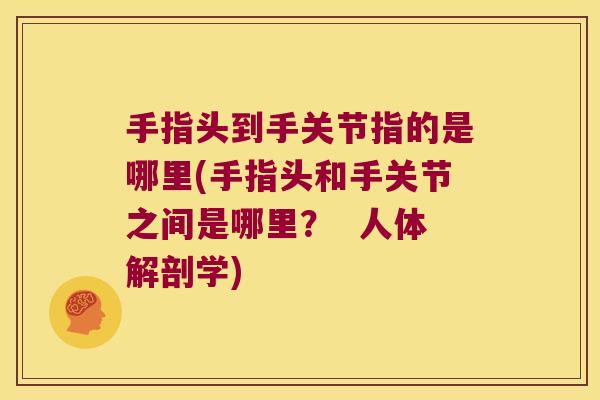 手指头到手关节指的是哪里(手指头和手关节之间是哪里？  人体解剖学)