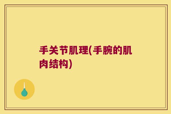 手关节肌理(手腕的肌肉结构)