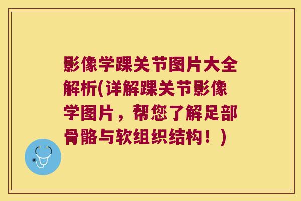 影像学踝关节图片大全解析(详解踝关节影像学图片,帮您了解足部骨骼与软组织结构!) 影像学踝关节图片大全解析(详解踝关节影像学图片,帮您了解足部骨骼与软组织结构!)