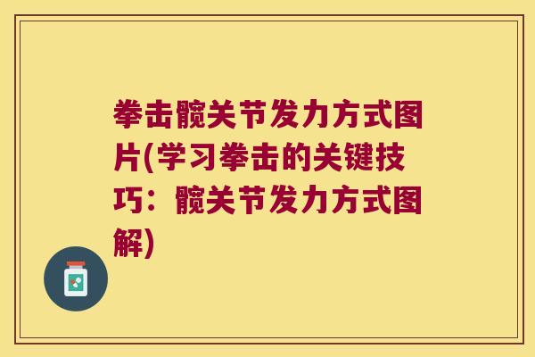 拳击髋关节发力方式图片(学习拳击的关键技巧：髋关节发力方式图解)