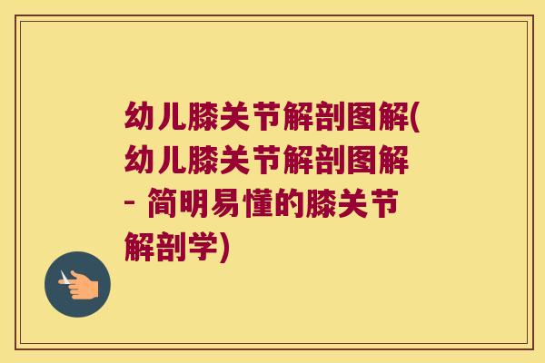 幼儿膝关节解剖图解(幼儿膝关节解剖图解 - 简明易懂的膝关节解剖学)
