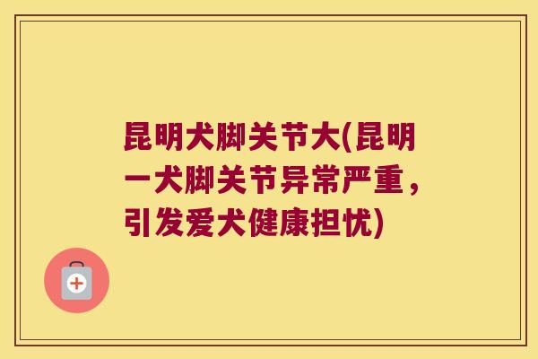 昆明犬脚关节大(昆明一犬脚关节异常严重,引发爱犬健康担忧) 昆明犬脚关节大(昆明一犬脚关节异常严重,引发爱犬健康担忧)