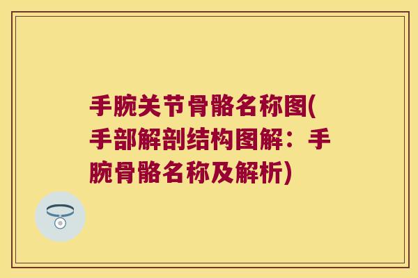 手腕关节骨骼名称图(手部解剖结构图解:手腕骨骼名称及解析) 手腕关节骨骼名称图(手部解剖结构图解:手腕骨骼名称及解析)