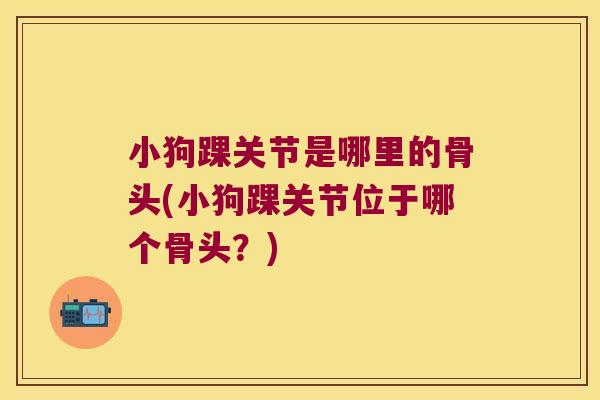 小狗踝关节是哪里的骨头(小狗踝关节位于哪个骨头?) 小狗踝关节是哪里的骨头(小狗踝关节位于哪个骨头?)