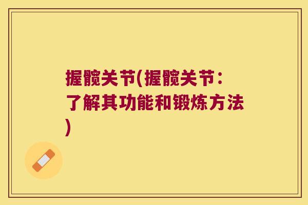 握髋关节(握髋关节：了解其功能和锻炼方法)