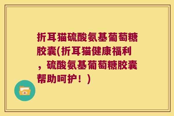 折耳猫硫酸氨基葡萄糖胶囊(折耳猫健康福利,硫酸氨基葡萄糖胶囊帮助呵护!) 折耳猫硫酸氨基葡萄糖胶囊(折耳猫健康福利,硫酸氨基葡萄糖胶囊帮助呵护!)