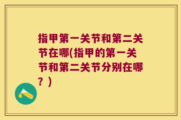 指甲第一关节和第二关节在哪(指甲的第一关节和第二关节分别在哪？)