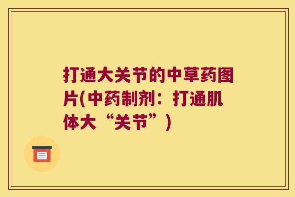 打通大关节的中草药图片(制剂：打通肌体大“关节”)