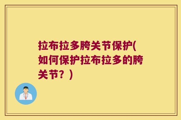 拉布拉多胯关节保护(如何保护拉布拉多的胯关节?) 拉布拉多胯关节保护(如何保护拉布拉多的胯关节?)