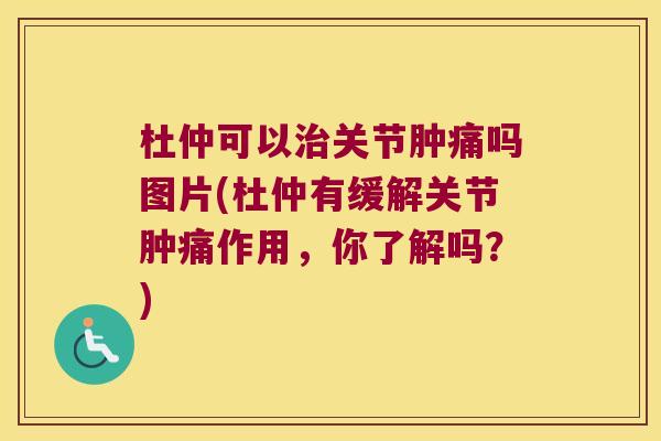 杜仲可以关节肿痛吗图片(杜仲有缓解关节肿痛作用,你了解吗?) 杜仲可以关节肿痛吗图片(杜仲有缓解关节肿痛作用,你了解吗?)