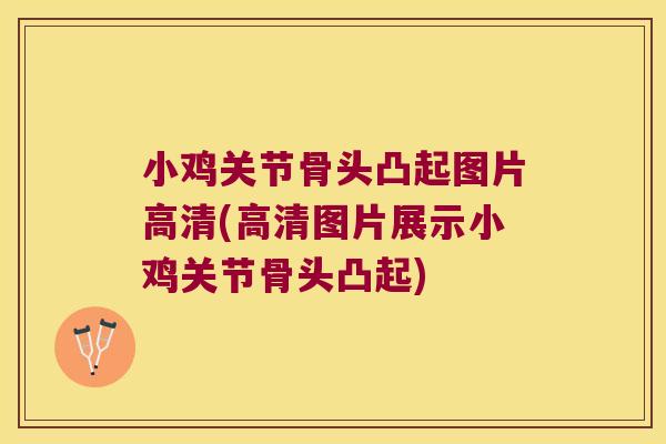 小鸡关节骨头凸起图片高清(高清图片展示小鸡关节骨头凸起)