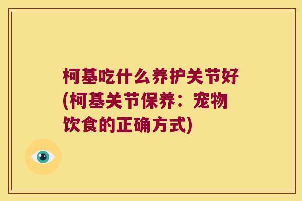 柯基吃什么养护关节好(柯基关节保养:宠物饮食的正确方式) 柯基吃什么养护关节好(柯基关节保养:宠物饮食的正确方式)