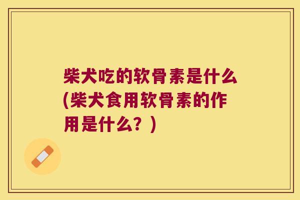 柴犬吃的软骨素是什么(柴犬食用软骨素的作用是什么？)