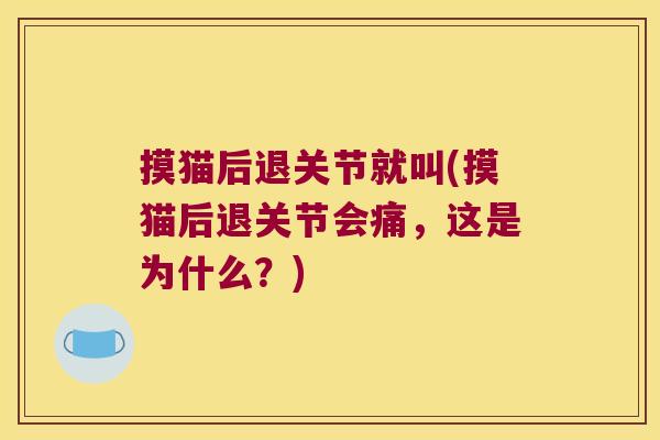 摸猫后退关节就叫(摸猫后退关节会痛，这是为什么？)