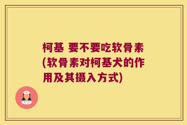 柯基 要不要吃软骨素(软骨素对柯基犬的作用及其摄入方式)