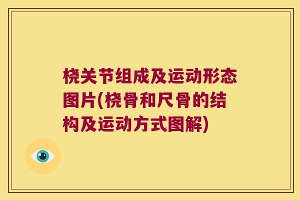 桡关节组成及运动形态图片(桡骨和尺骨的结构及运动方式图解) 桡关节组成及运动形态图片(桡骨和尺骨的结构及运动方式图解)