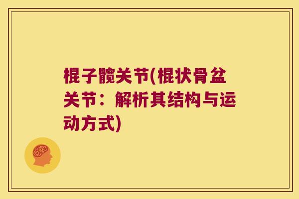 棍子髋关节(棍状骨盆关节：解析其结构与运动方式)