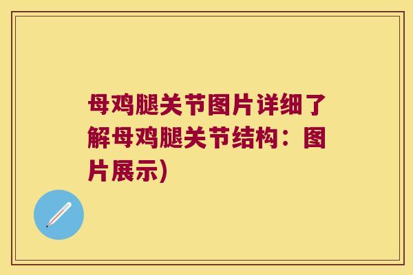 母鸡腿关节图片详细了解母鸡腿关节结构：图片展示)