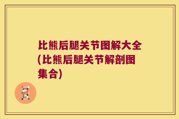 比熊后腿关节图解大全(比熊后腿关节解剖图集合) 比熊后腿关节图解大全(比熊后腿关节解剖图集合)