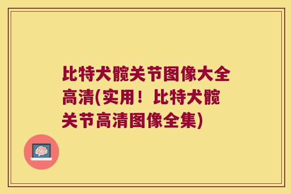 比特犬髋关节图像大全高清(实用!比特犬髋关节高清图像全集) 比特犬髋关节图像大全高清(实用!比特犬髋关节高清图像全集)