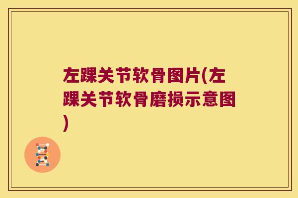 左踝关节软骨图片(左踝关节软骨磨损示意图)