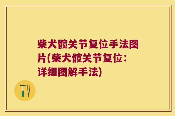 柴犬髋关节复位手法图片(柴犬髋关节复位:详细图解手法) 柴犬髋关节复位手法图片(柴犬髋关节复位:详细图解手法)