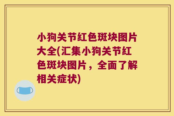 小狗关节红色斑块图片大全(汇集小狗关节红色斑块图片，全面了解相关症状)
