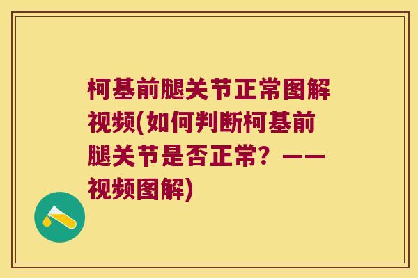 柯基前腿关节正常图解视频(如何判断柯基前腿关节是否正常?——视频图解) 柯基前腿关节正常图解视频(如何判断柯基前腿关节是否正常?——视频图解)