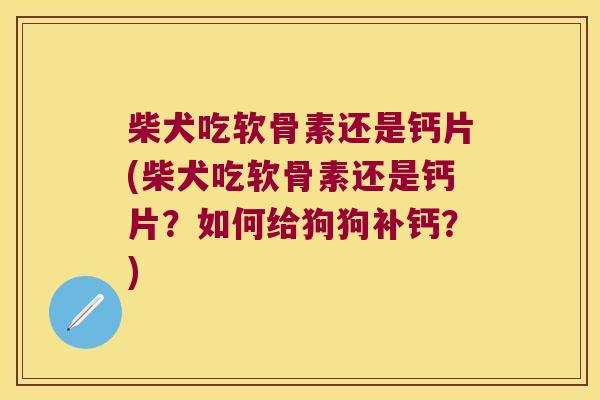 柴犬吃软骨素还是钙片(柴犬吃软骨素还是钙片？如何给狗狗补钙？)