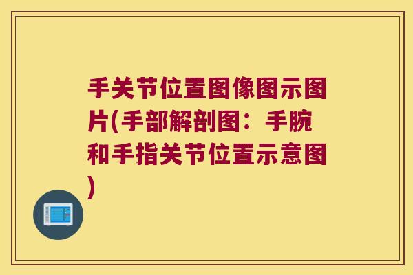 手关节位置图像图示图片(手部解剖图:手腕和手指关节位置示意图) 手关节位置图像图示图片(手部解剖图:手腕和手指关节位置示意图)
