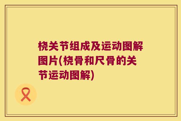 桡关节组成及运动图解图片(桡骨和尺骨的关节运动图解) 桡关节组成及运动图解图片(桡骨和尺骨的关节运动图解)