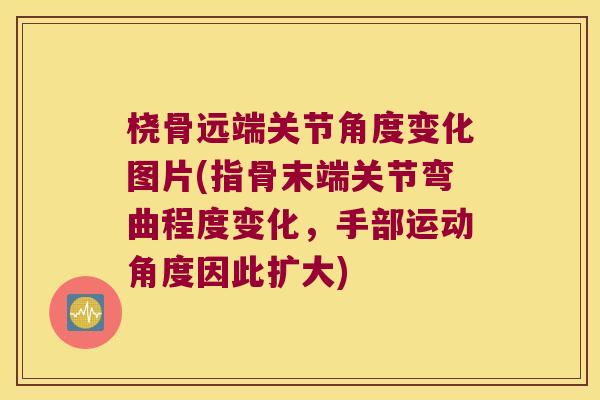 桡骨远端关节角度变化图片(指骨末端关节弯曲程度变化，手部运动角度因此扩大)