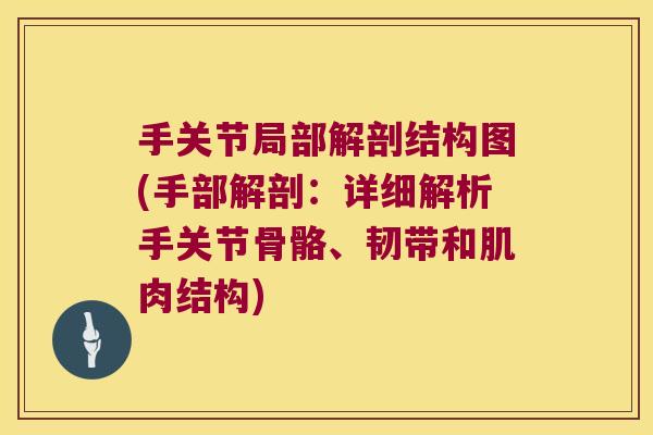手关节局部解剖结构图(手部解剖：详细解析手关节骨骼、韧带和肌肉结构)