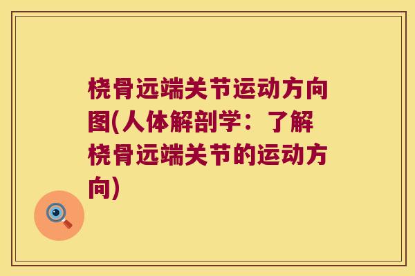 桡骨远端关节运动方向图(人体解剖学:了解桡骨远端关节的运动方向) 桡骨远端关节运动方向图(人体解剖学:了解桡骨远端关节的运动方向)