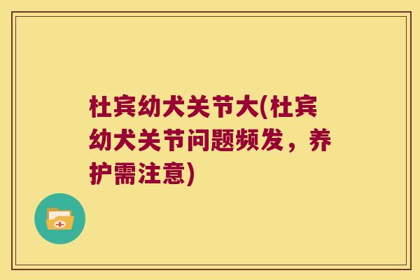 杜宾幼犬关节大(杜宾幼犬关节问题频发，养护需注意)