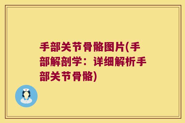 手部关节骨骼图片(手部解剖学：详细解析手部关节骨骼)