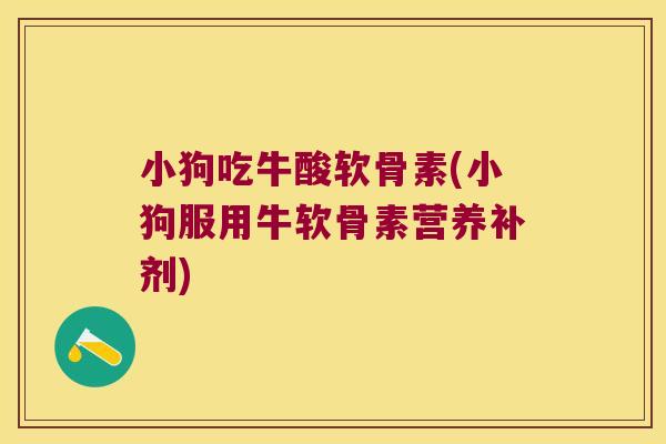 小狗吃牛酸软骨素(小狗服用牛软骨素营养补剂)