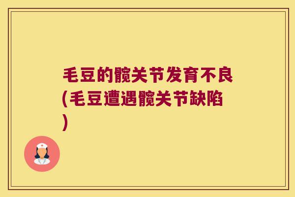 毛豆的髋关节发育不良(毛豆遭遇髋关节缺陷)