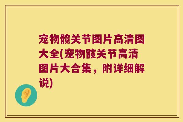 宠物髋关节图片高清图大全(宠物髋关节高清图片大合集,附详细解说) 宠物髋关节图片高清图大全(宠物髋关节高清图片大合集,附详细解说)