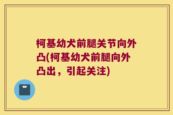 柯基幼犬前腿关节向外凸(柯基幼犬前腿向外凸出，引起关注)