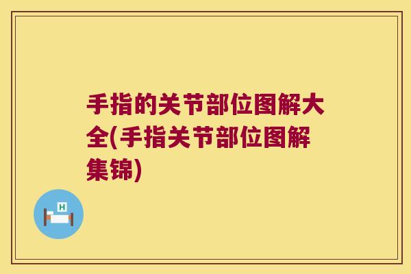 手指的关节部位图解大全(手指关节部位图解集锦) 手指的关节部位图解大全(手指关节部位图解集锦)