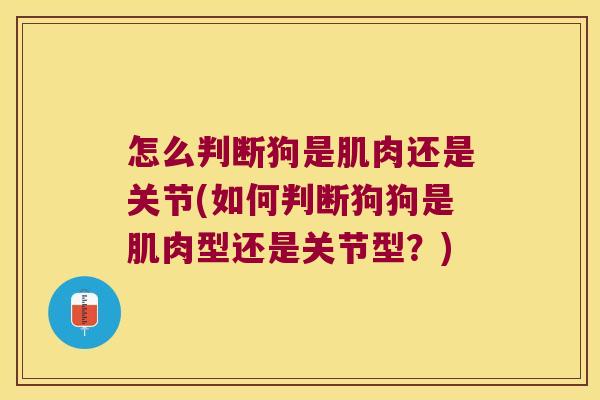 怎么判断狗是肌肉还是关节(如何判断狗狗是肌肉型还是关节型?) 怎么判断狗是肌肉还是关节(如何判断狗狗是肌肉型还是关节型?)