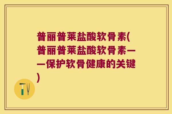 普丽普莱盐酸软骨素(普丽普莱盐酸软骨素——保护软骨健康的关键) 普丽普莱盐酸软骨素(普丽普莱盐酸软骨素——保护软骨健康的关键)