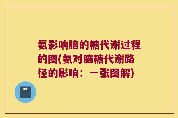 氨影响脑的糖代谢过程的图(氨对脑糖代谢路径的影响：一张图解)