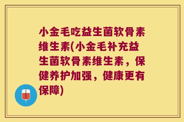 小金毛吃益生菌软骨素维生素(小金毛补充益生菌软骨素维生素,保健养护加强,健康更有保障) 小金毛吃益生菌软骨素维生素(小金毛补充益生菌软骨素维生素,保健养护加强,健康更有保障)