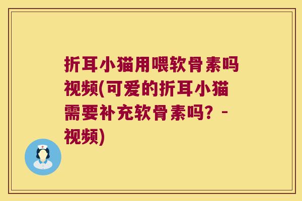 折耳小猫用喂软骨素吗视频(可爱的折耳小猫需要补充软骨素吗？-视频)